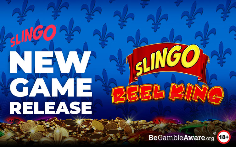 Slingo Reel King Is Our Fun New Game Release!