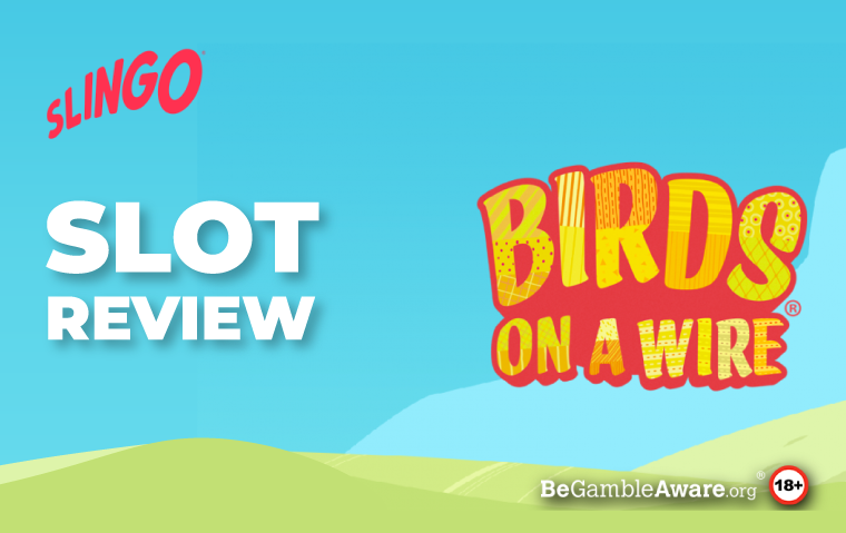 Birds On a Wire Slot Game Review