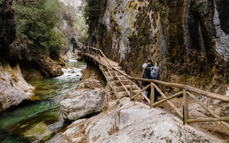 Camino de Santiago