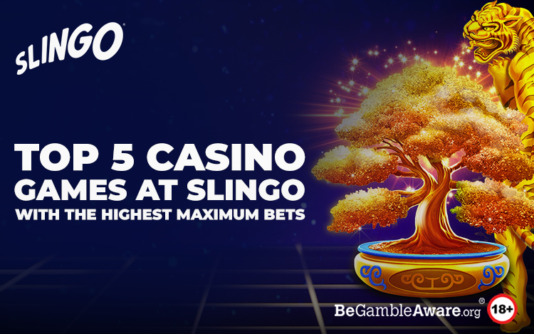 casino-games-with-highest-maximum-bets.jpg