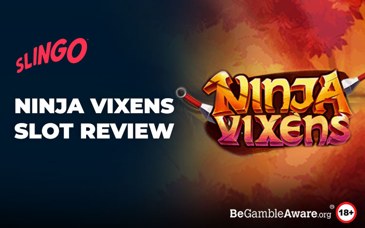 Ninja Vixens Slot Review: The Warriors of the East Beckon You