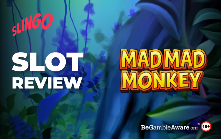 Mad Mad Monkey Slot Game Review
