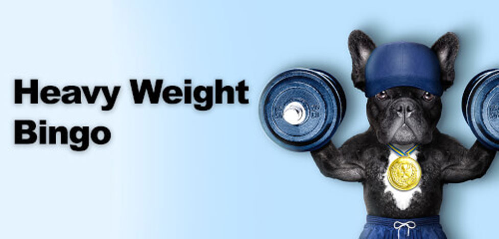 heavyweight-bingo.jpg
