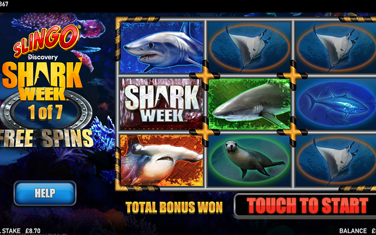 how-to-win-slingo-shark-week.jpg