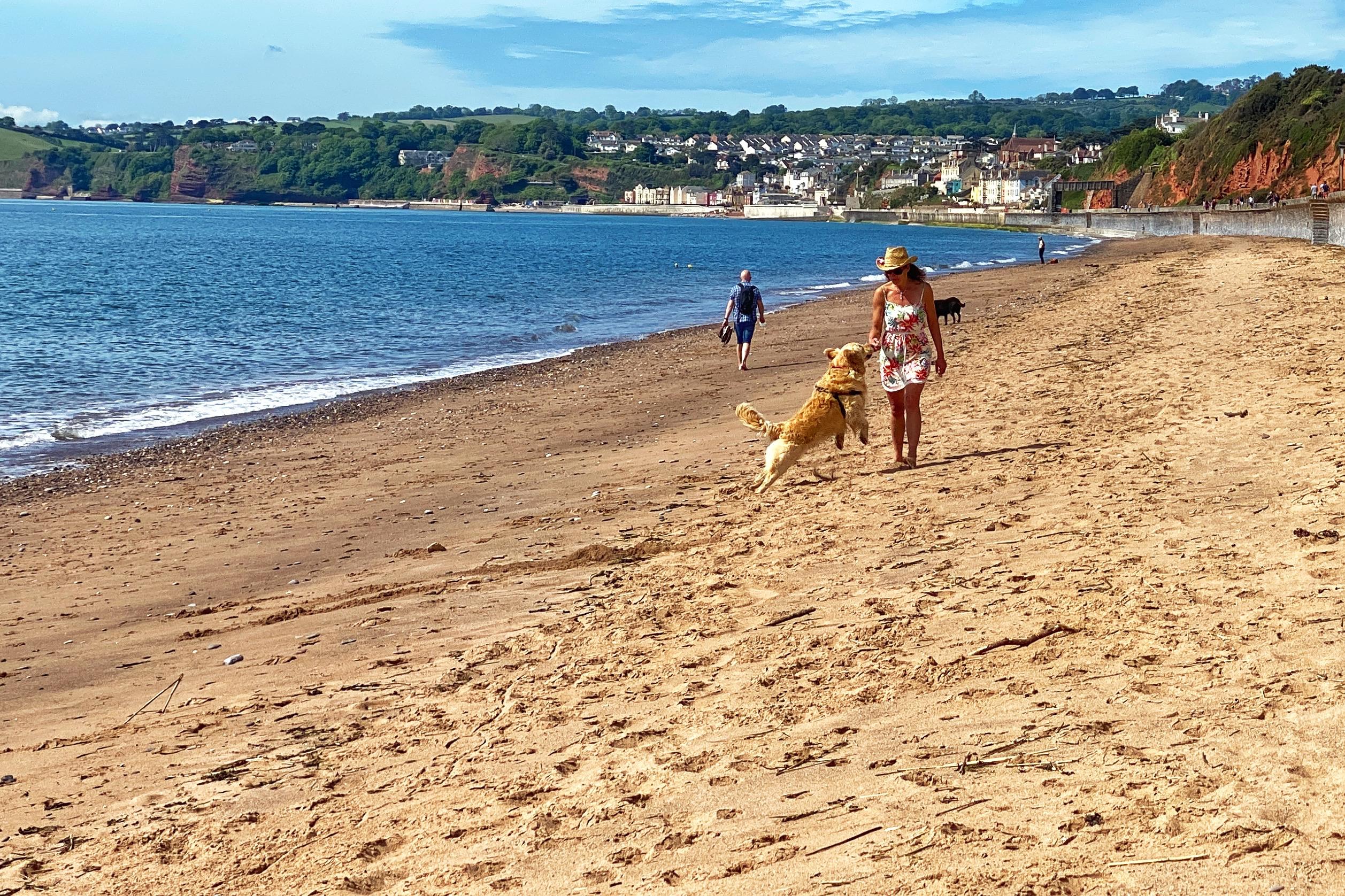 Luxury Dog-Friendly Cottages Devon