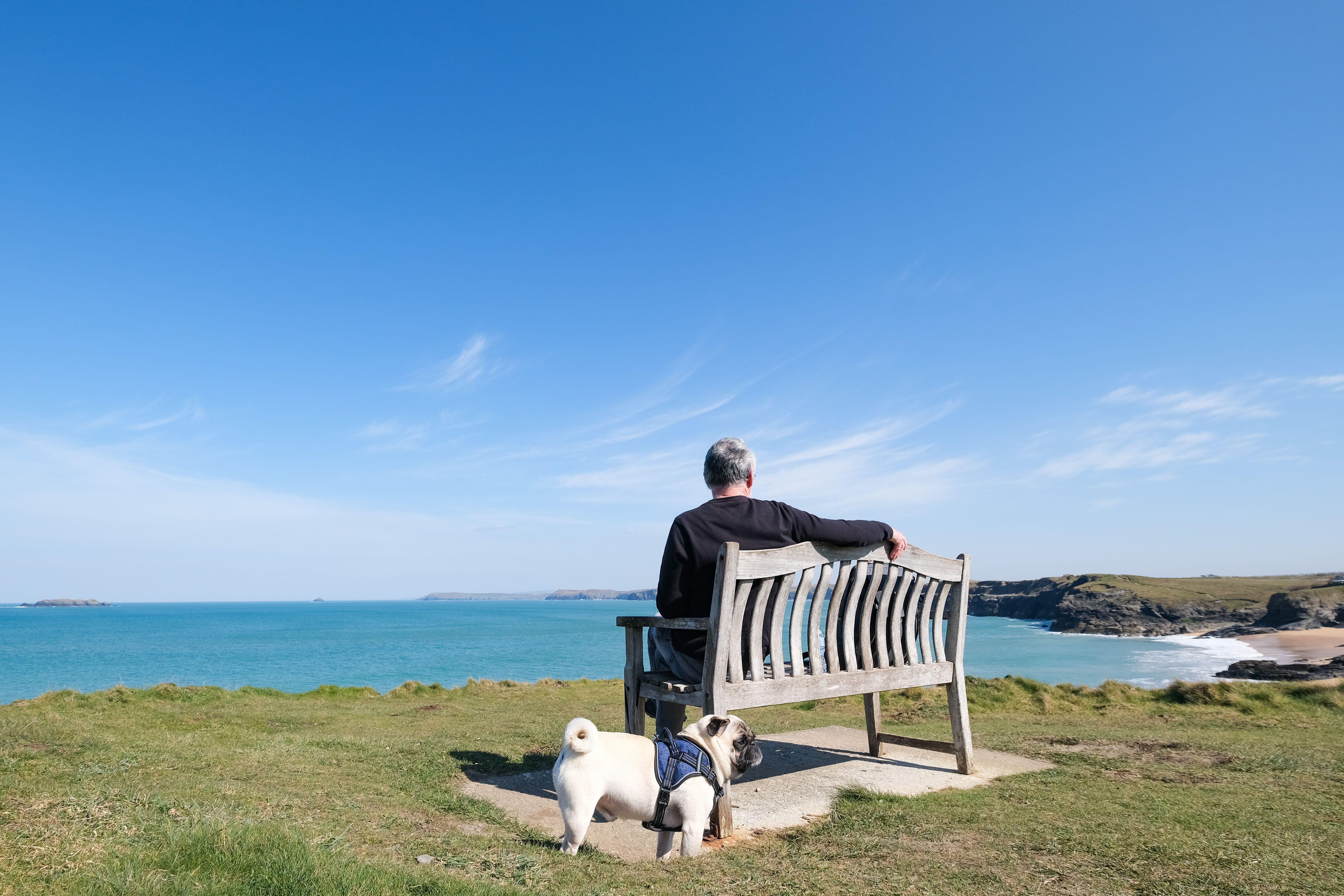 Luxury Dog-Friendly Hotels Cornwall