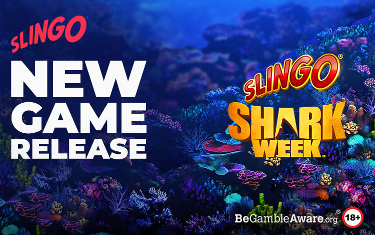 Slingo Shark Blitz - Play Slingo Games at Slingo Arcade