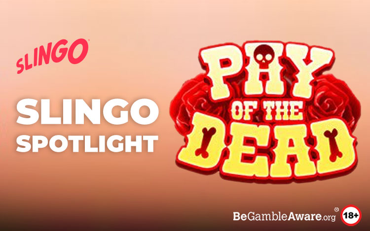 Slingo Spotlight: Pay of the Dead Review