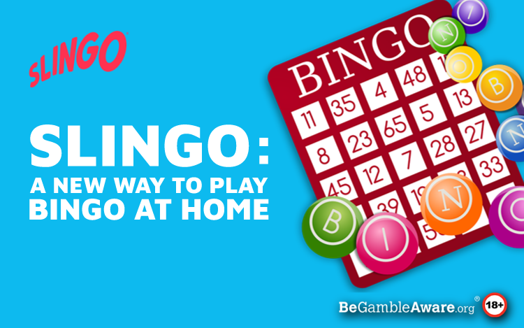 Discover Our Exciting Blend of Slots and Bingo