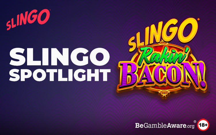 Slingo Rakin Bacon