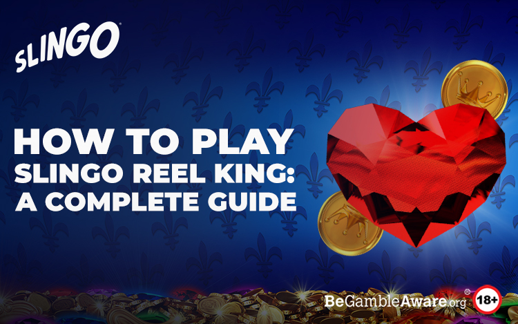 slingo-reel-king-guide.jpg
