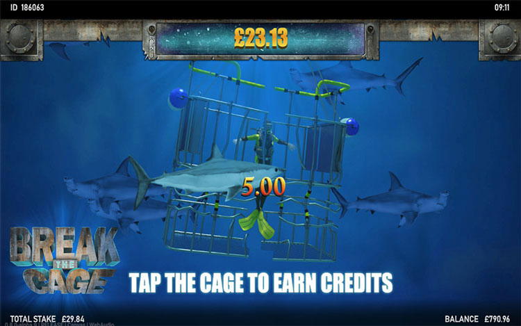 slingo-shark-week-game-theme.jpg