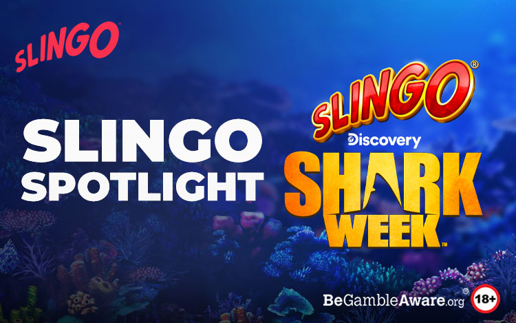 Slingo Shark Week Review