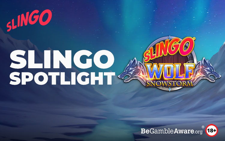 Slingo Wolf Snowstorm