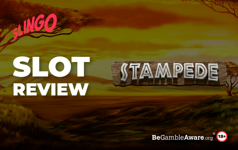 stampede-slot-review.png