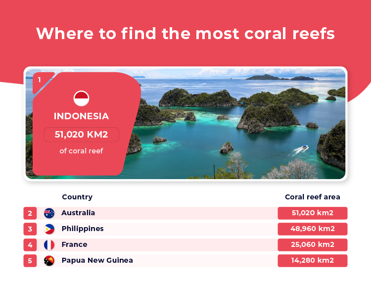 Top 5 Countries Most Coral Reefs