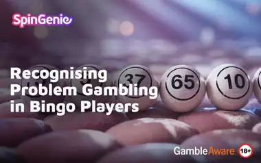 Recognising-Problem-Gambling-in-Bingo-Players