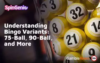 Understanding-Bingo-Variants-75-Ball,-90-Ball,-and-More