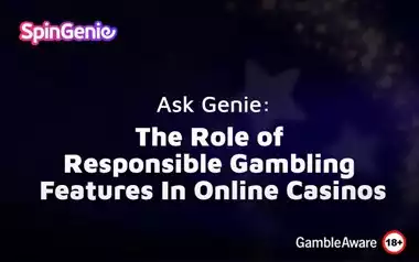The Role of Responsible Gambling Features in Online Casinos