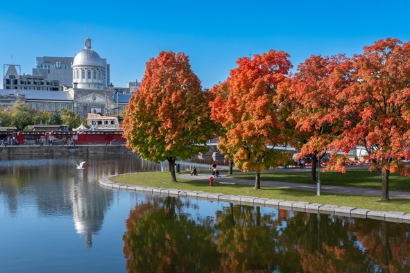 13 Most Expensive Neighbourhoods in Canada