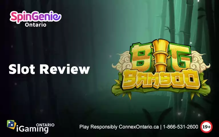 Big Bamboo Slot Review | Spin Genie