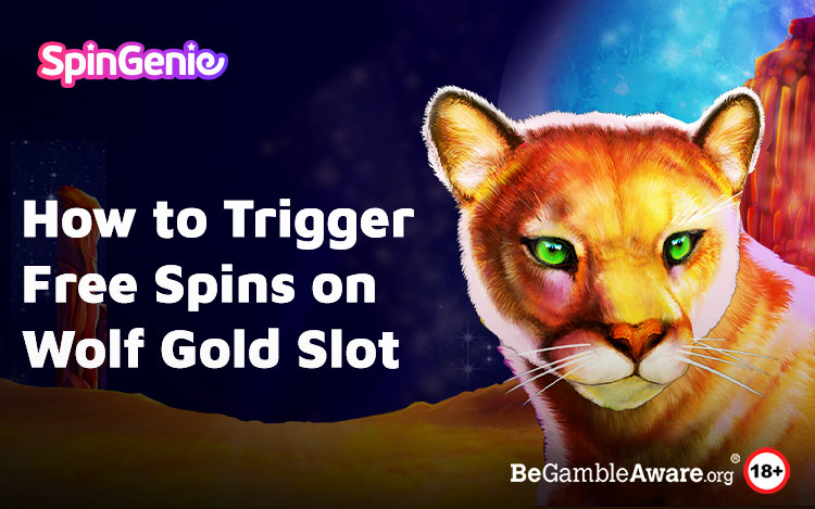 Your Guide to Wolf Gold Free Spins