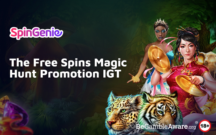 The Free Spins Magic Hunt Promotion IGT