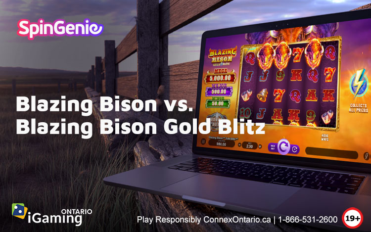 Blazing-Bison-vs-Blazing-Bison-Gold-Blitz