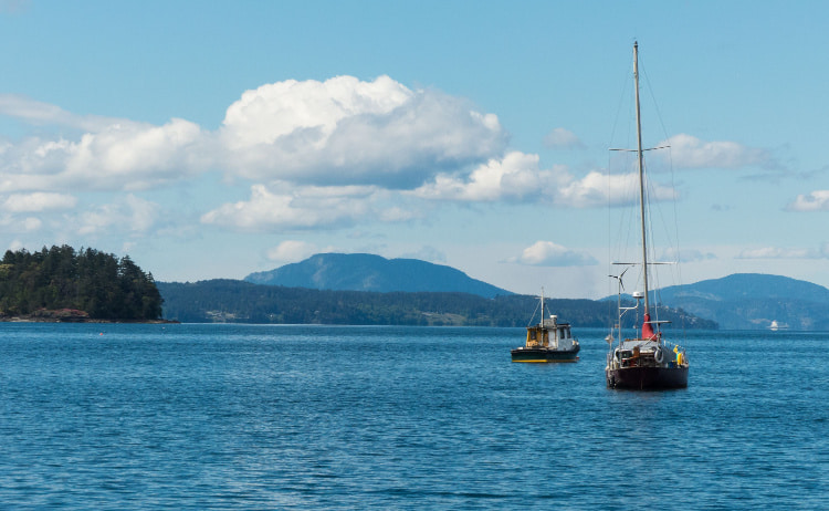 Two fishing boats floating on bright blue water with dark trees on the left and mountains in the distance
