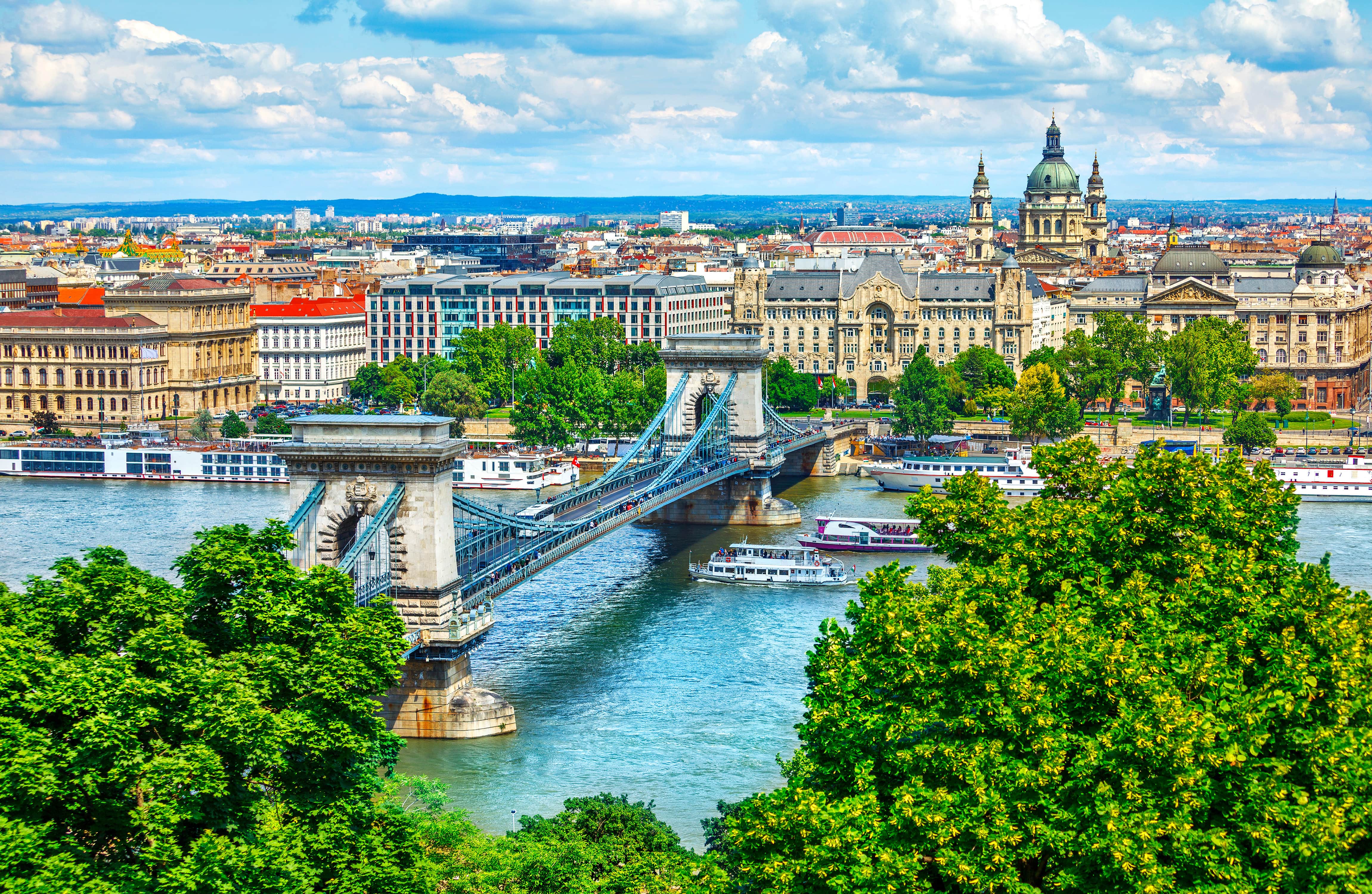 Picture of thick green trees in the foreground with the river Danube and the city in the background