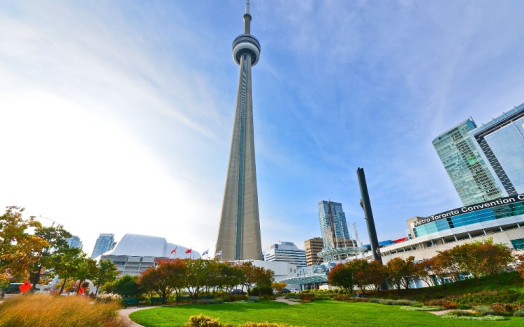 An image of the CN Tower on a clear day taken from a nearby park.