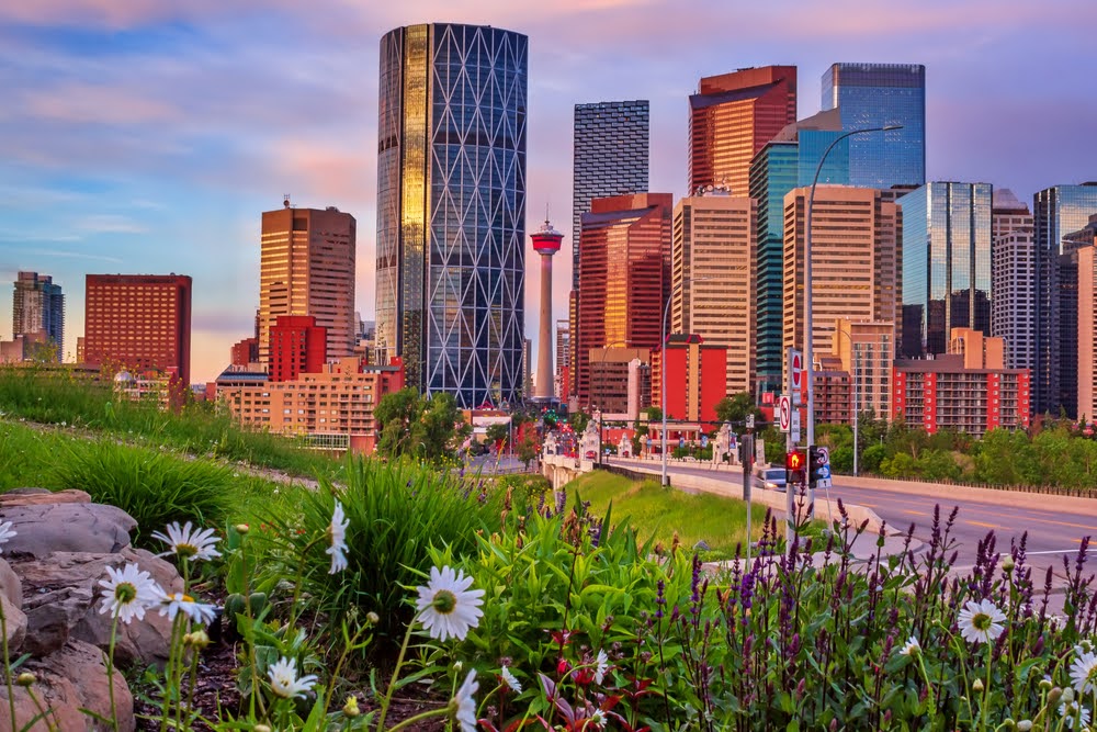 Grass and flowers in front of downtown city buildings in the evening