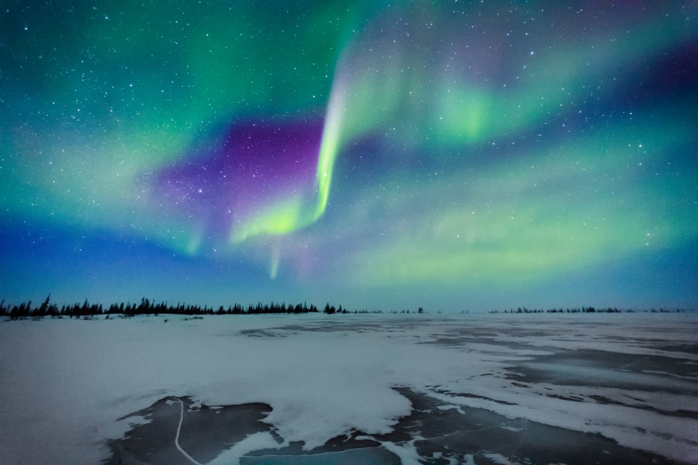 Aurora Borealis with winter landscape