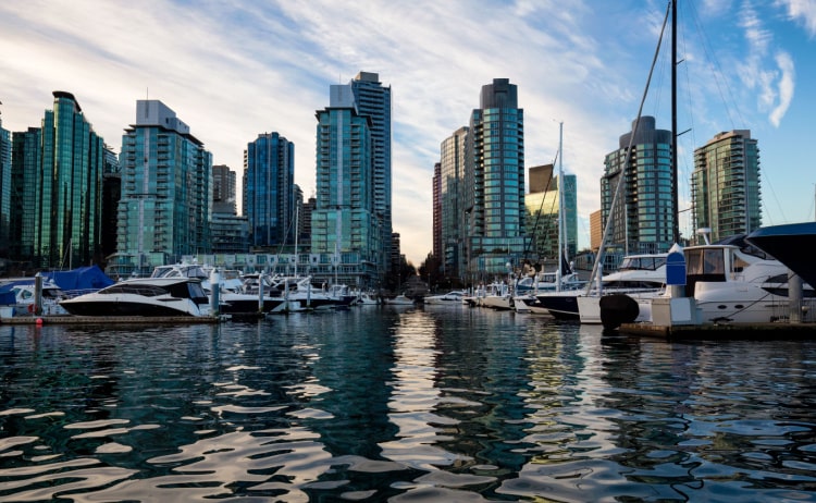 The still water of a harbour with multiple white boats docked and glass skyscrapers in the background, under a blue sky with wisps of white cloud