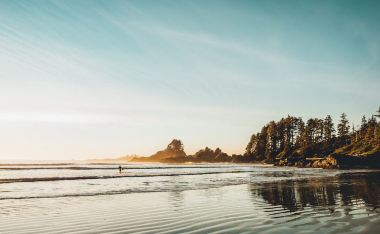 A beach in the evening with a lone surfer running into the waves and trees on the right