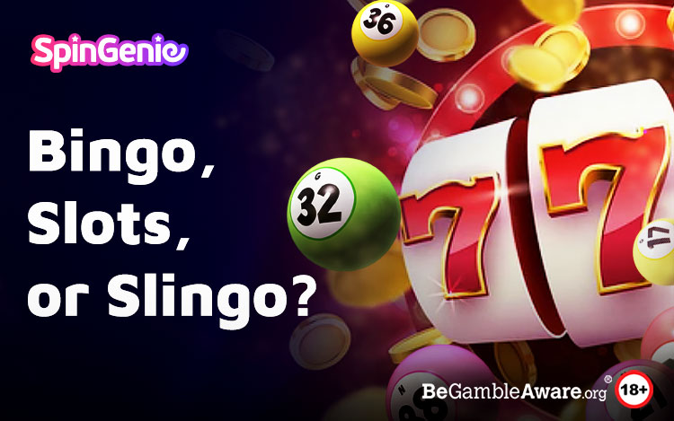Slots, Bingo, Slingo: What's your Favourite?