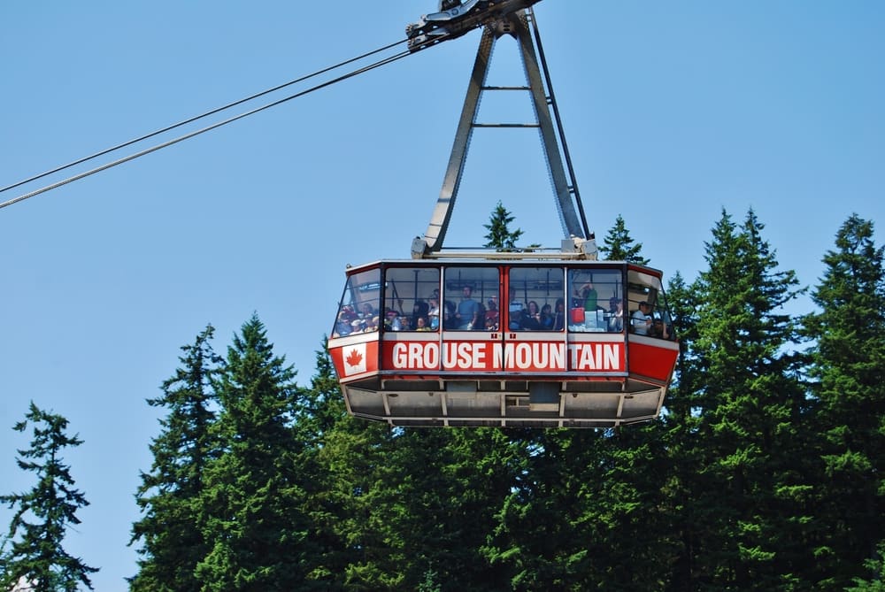 A gondola ride with trees and a blue sky in the background from Grouse Mountain