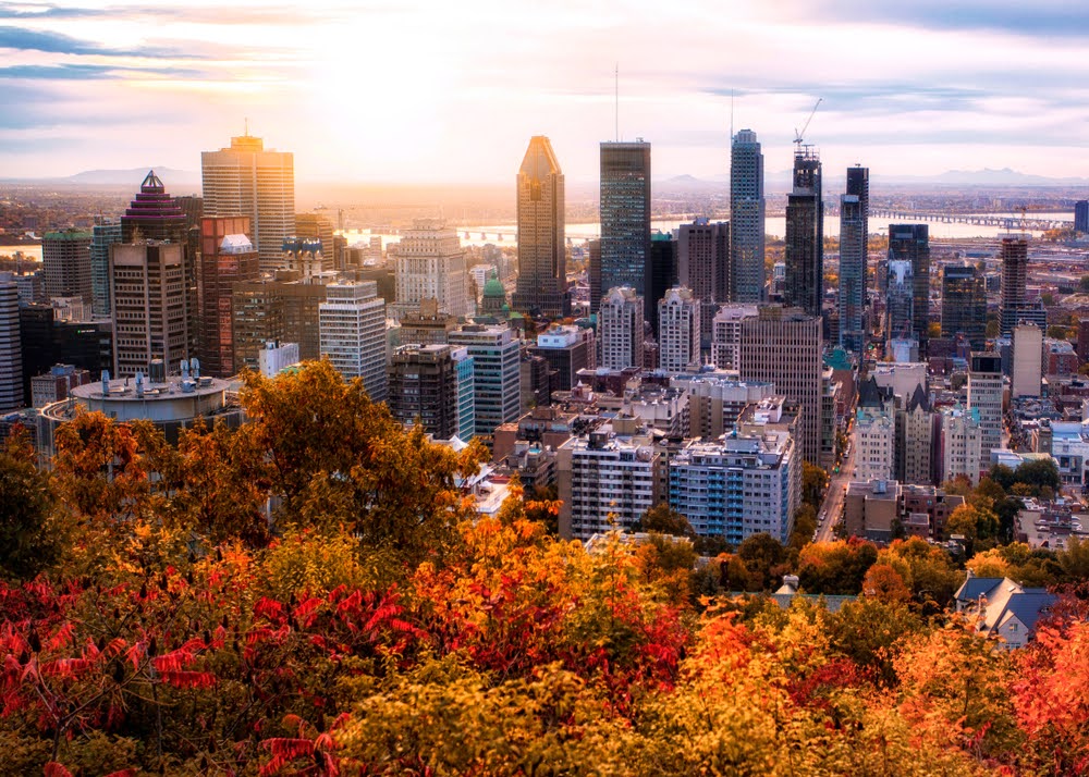 City buildings with red and orange autumn trees in front