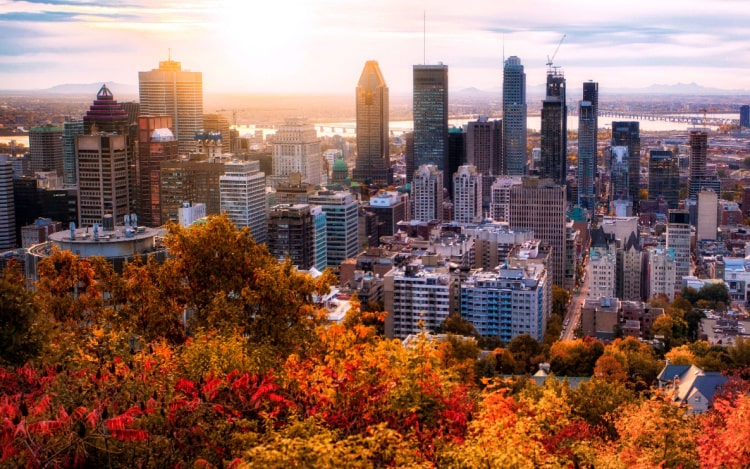 Montreal in Fall, with red and gold leaves covering trees in the foreground, and several buildings and skyscrapers in the background with the sun behind them