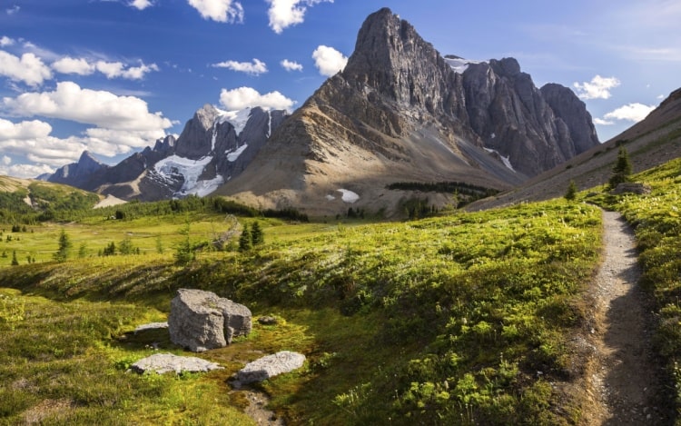 A hill path leading to rocky mountains under a blue sky with white clouds.