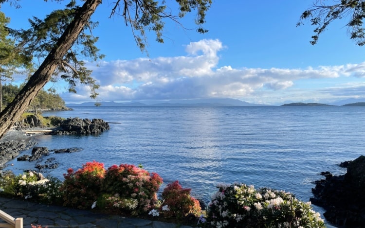 A view of a blue lake under a blue sky, with flowers and a tree partially visible.