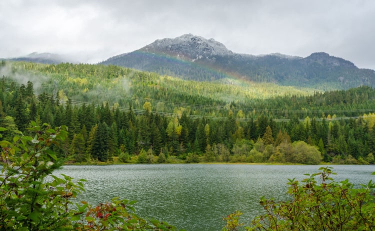 Picture of a still lake bordered by green trees with a mountain in the distance and an overcast sky