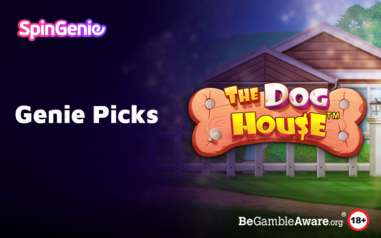 The Dog House Slot Review