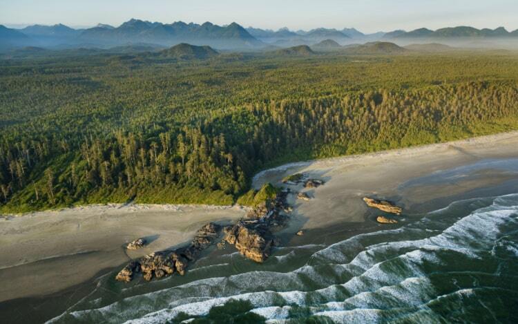 An aerial shot of the Pacific Rim National Park Reserve’s coast, with waves washing up on the sandy shore and jagged rocks with trees in the background.