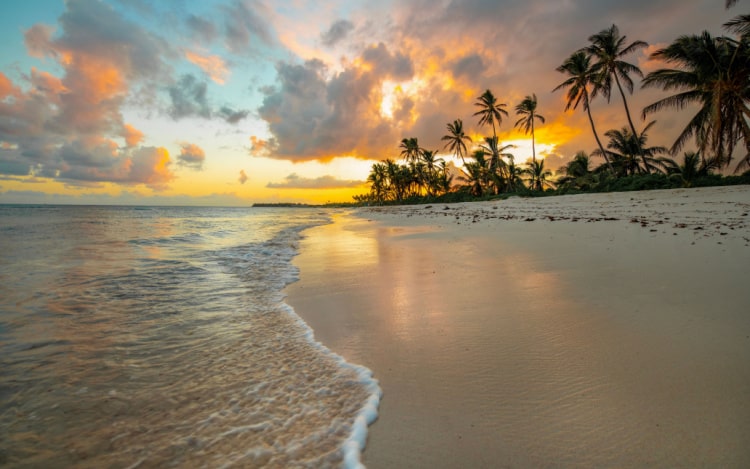 A beach at sunset with the sea’s surf washing up on the sand, a pink, blue and orange sky, and palm trees to the right of the image