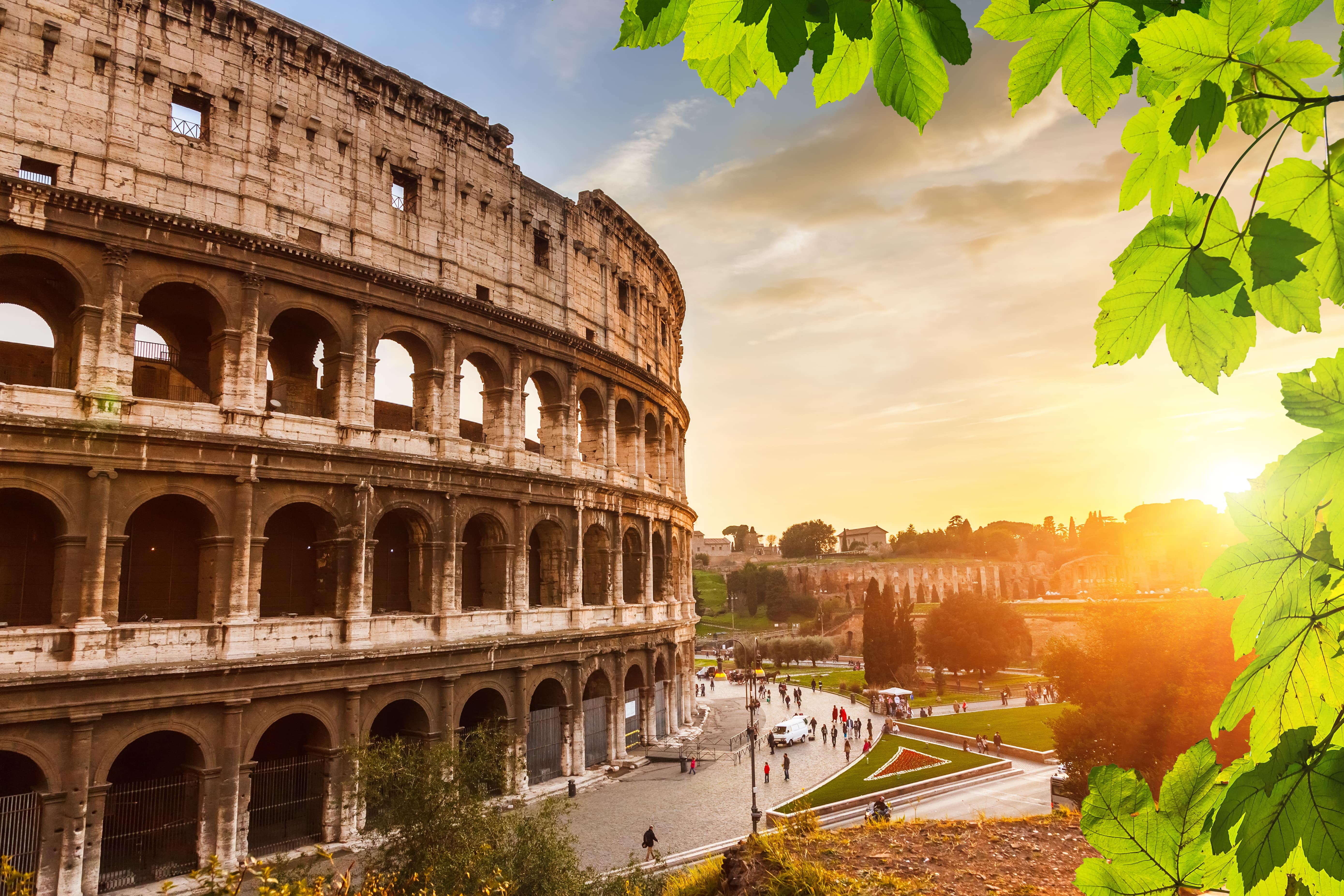 Picture of the Colosseum during sunset, with a bright green tree on the right