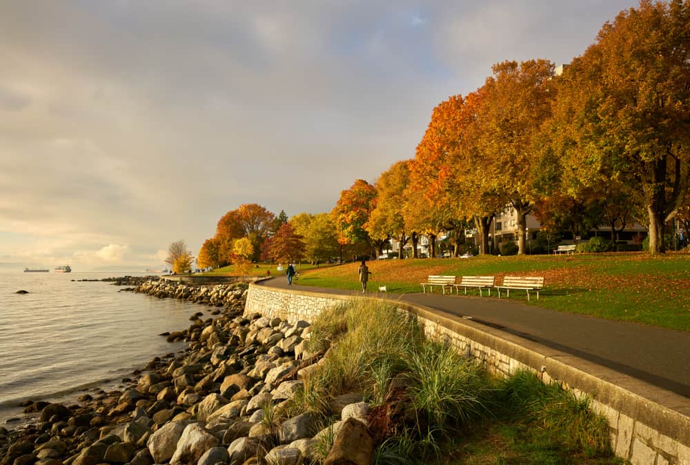 People walking along the Seawall path that has three benches, autumn leaves on the grass and a row of trees in the background.