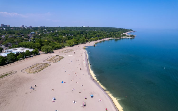 A sandy shoreline with trees to the left and a dark blue sea to the right, under a clear blue sky.