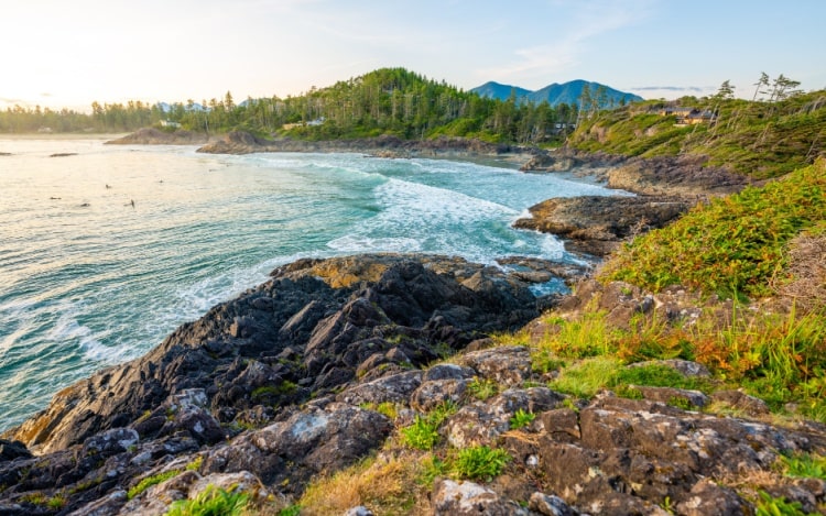 View from a rocky, grassy shoreline of the Pacific Ocean under a clear blue sky.