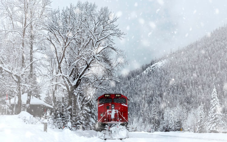 A red train in snowy weather with snow-topped trees surrounding it.